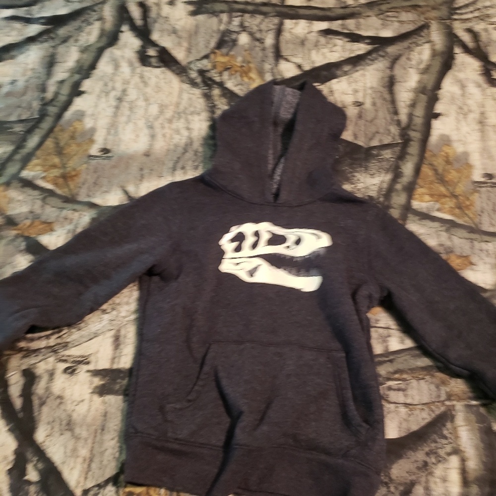 Dinosaur hooded pullover